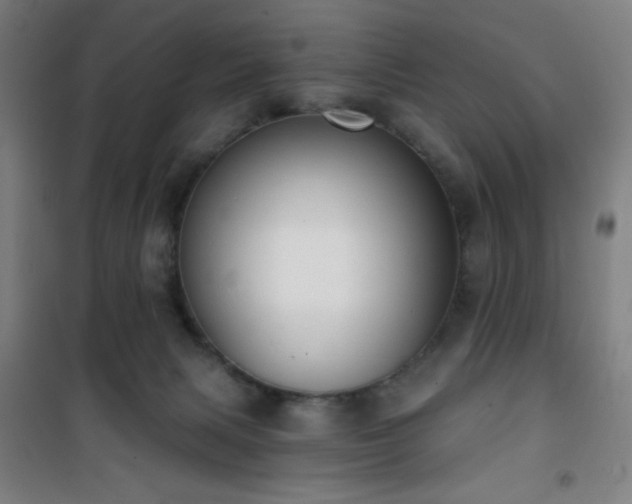 X0000101650079200807101241