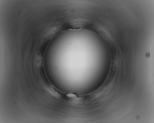 X0000101650081200807101241