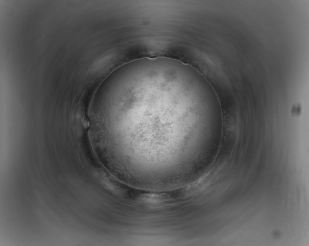 X0000101650082200807101241