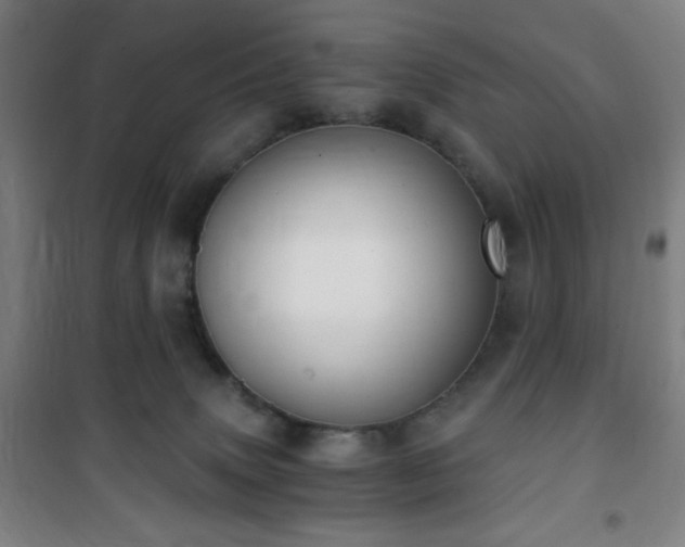 X0000101650083200807101241