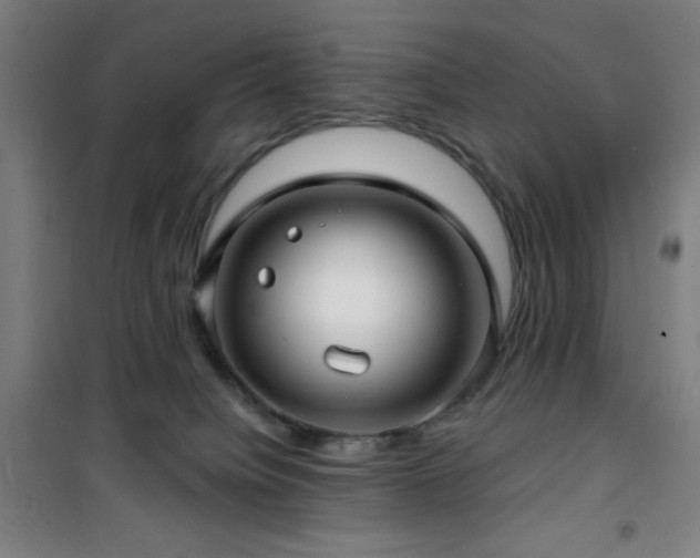 X0000101650084200807101241