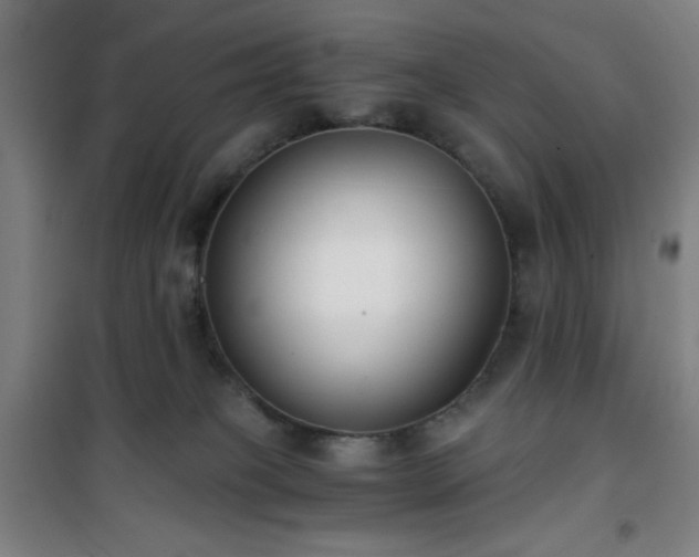 X0000101650085200807101241