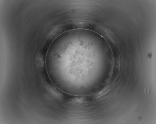 X0000101650086200807101241