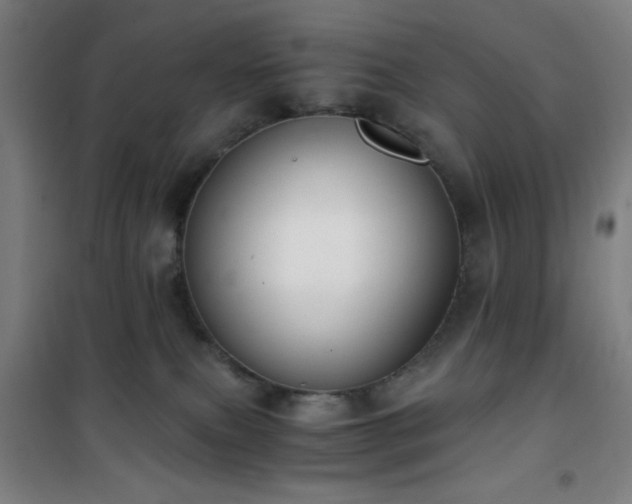 X0000101650087200807101241