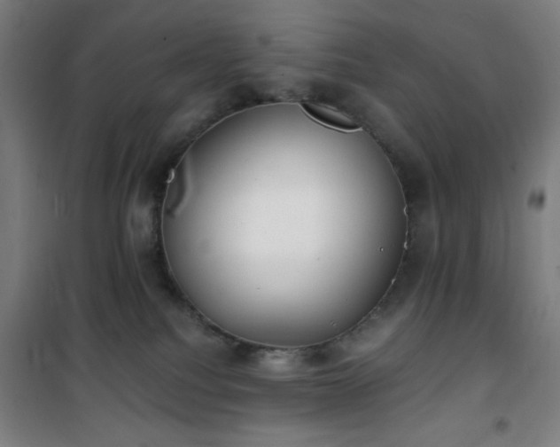 X0000101650088200807101241