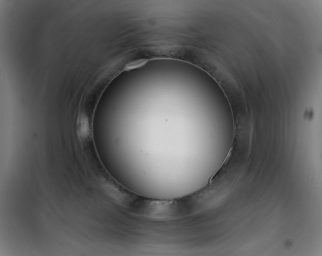 X0000101650089200807101241