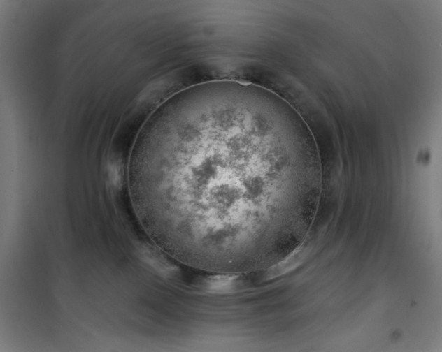 X0000101650090200807101241