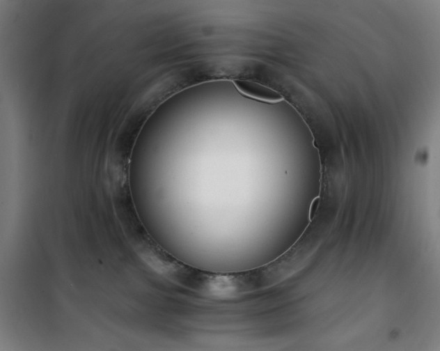 X0000101650091200807101241