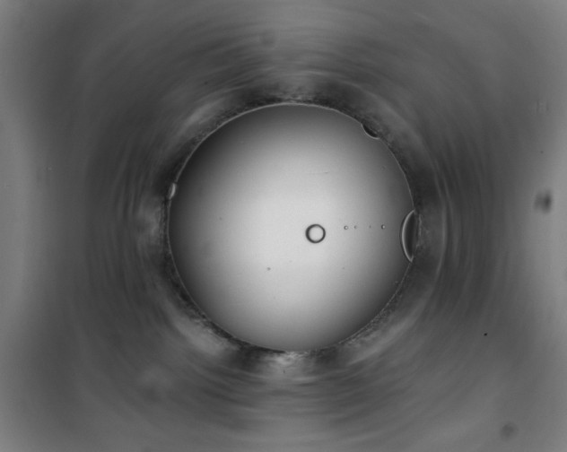 X0000101650092200807101241