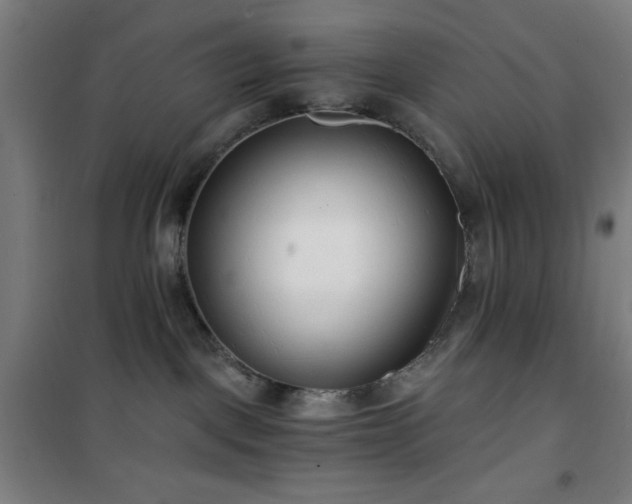 X0000101650093200807101241