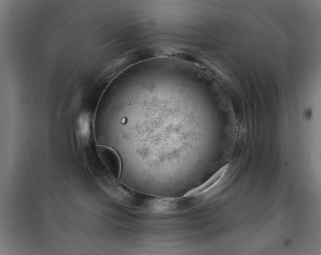 X0000101650094200807101241