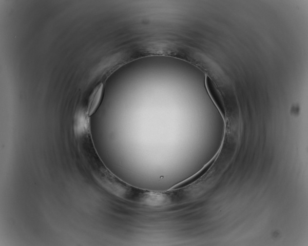 X0000101650095200807101241