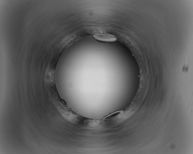 X0000101650096200807101241