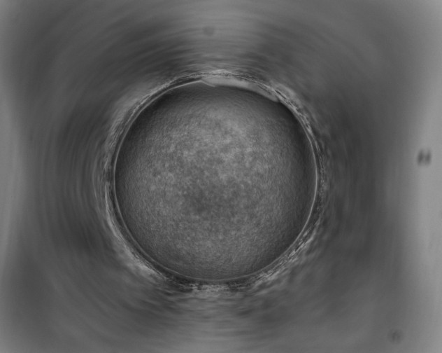 X0000101650097200807101241