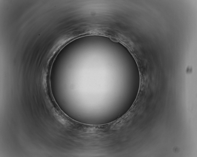 X0000101650098200807101241