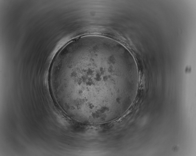 X0000101650099200807101241