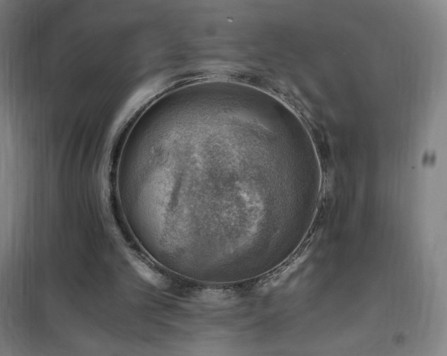 X0000101650101200807101241