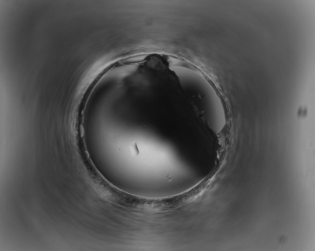 X0000101650103200807101241