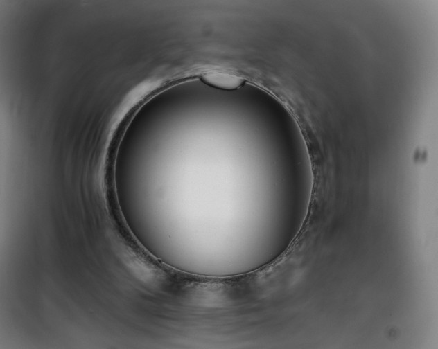 X0000101650104200807101240