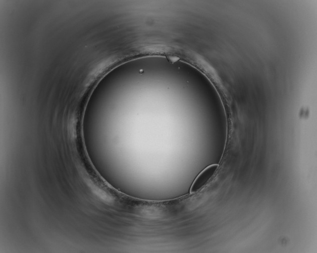 X0000101650106200807101240