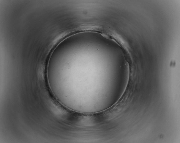 X0000101650107200807101240