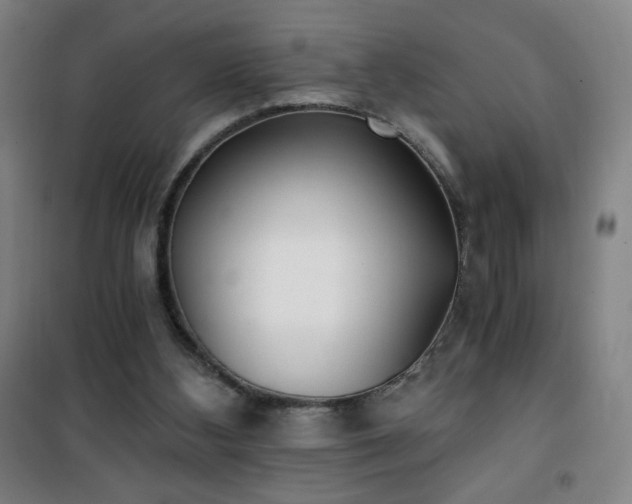 X0000101650108200807101240