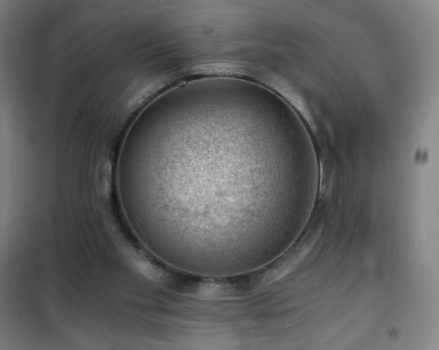 X0000101650109200807101240