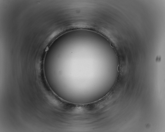 X0000101650111200807101240