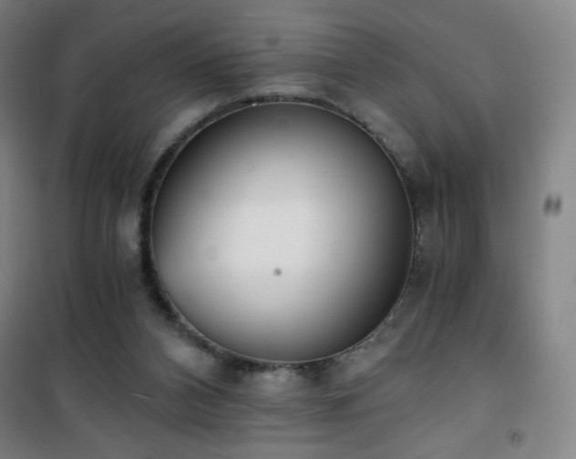 X0000101650112200807101240