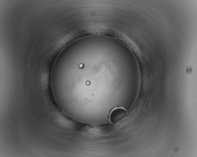 X0000101650113200807101240