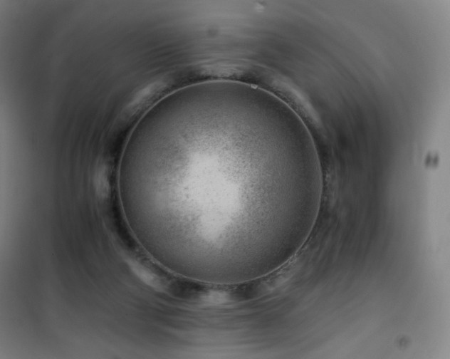 X0000101650114200807101240