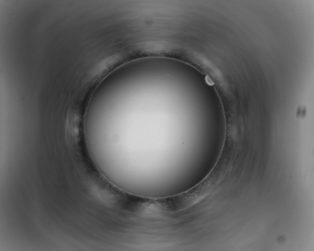 X0000101650115200807101240