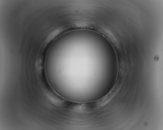 X0000101650116200807101240