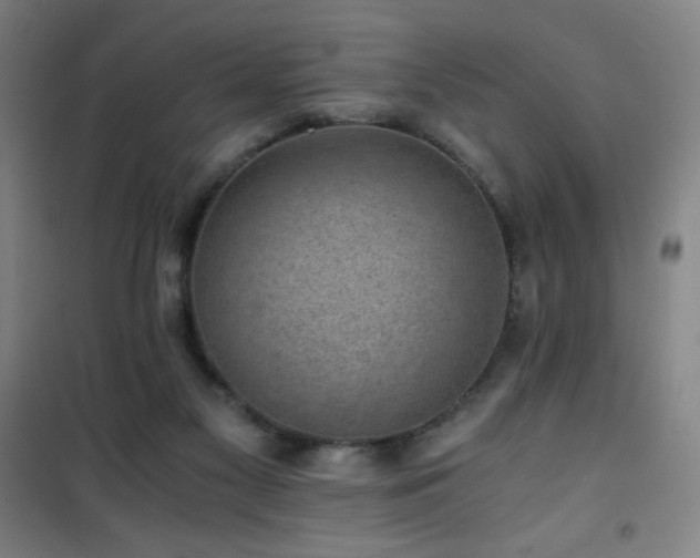 X0000101650117200807101240