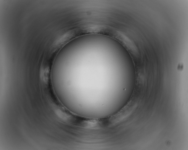 X0000101650118200807101240