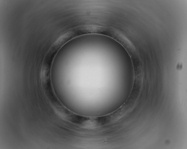 X0000101650119200807101240