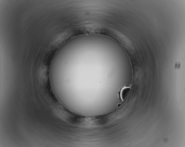 X0000101650121200807101240