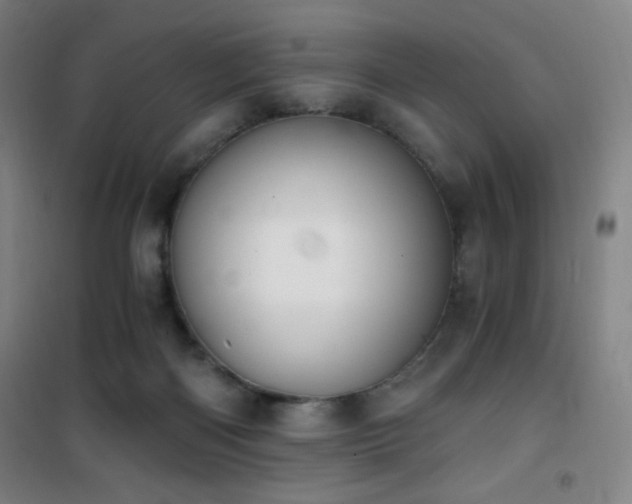 X0000101650122200807101240