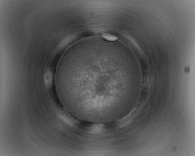 X0000101650124200807101240