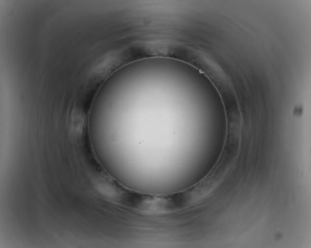 X0000101650125200807101240