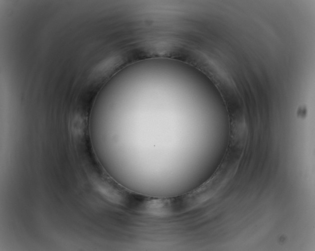 X0000101650126200807101240