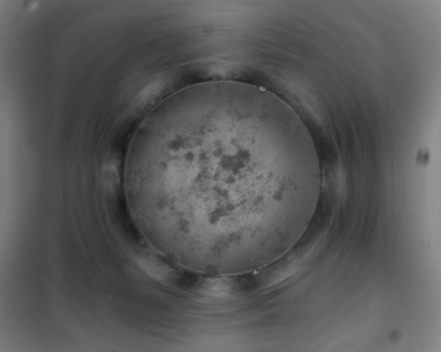 X0000101650127200807101240