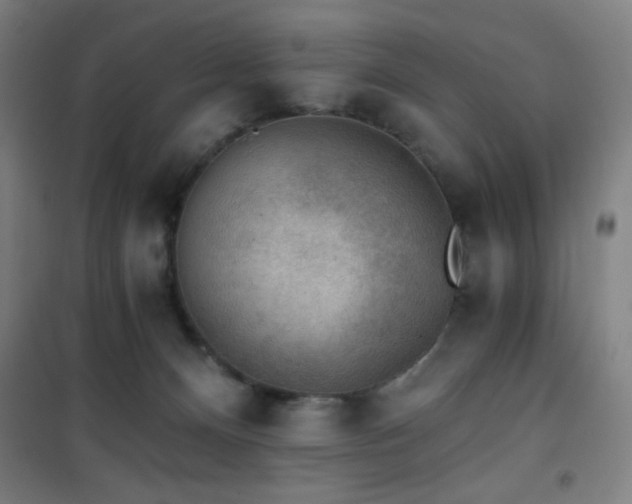 X0000101650128200807101240