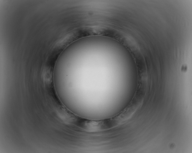 X0000101650129200807101240