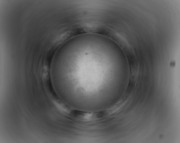 X0000101650130200807101240