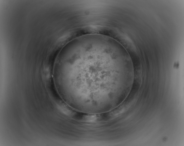 X0000101650131200807101240