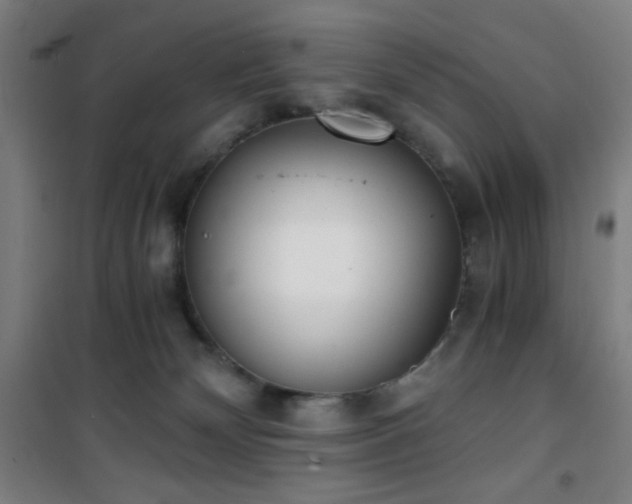 X0000101650132200807101240