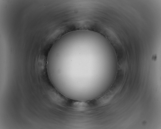 X0000101650133200807101240