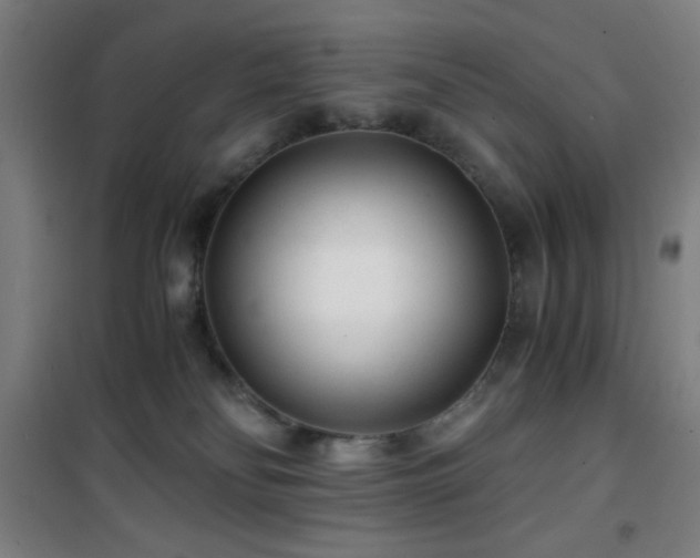 X0000101650134200807101240