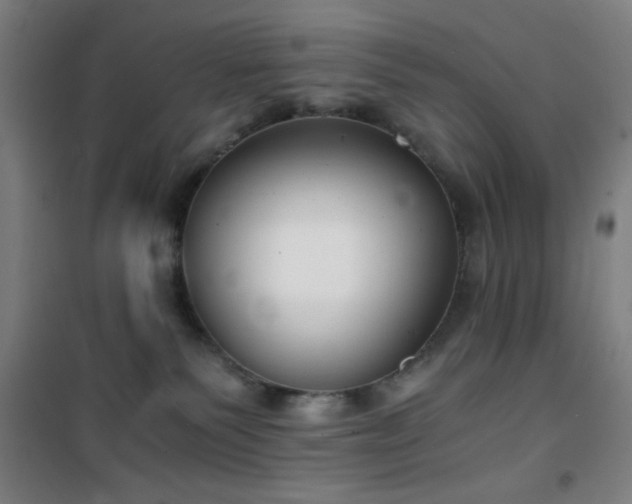 X0000101650135200807101240